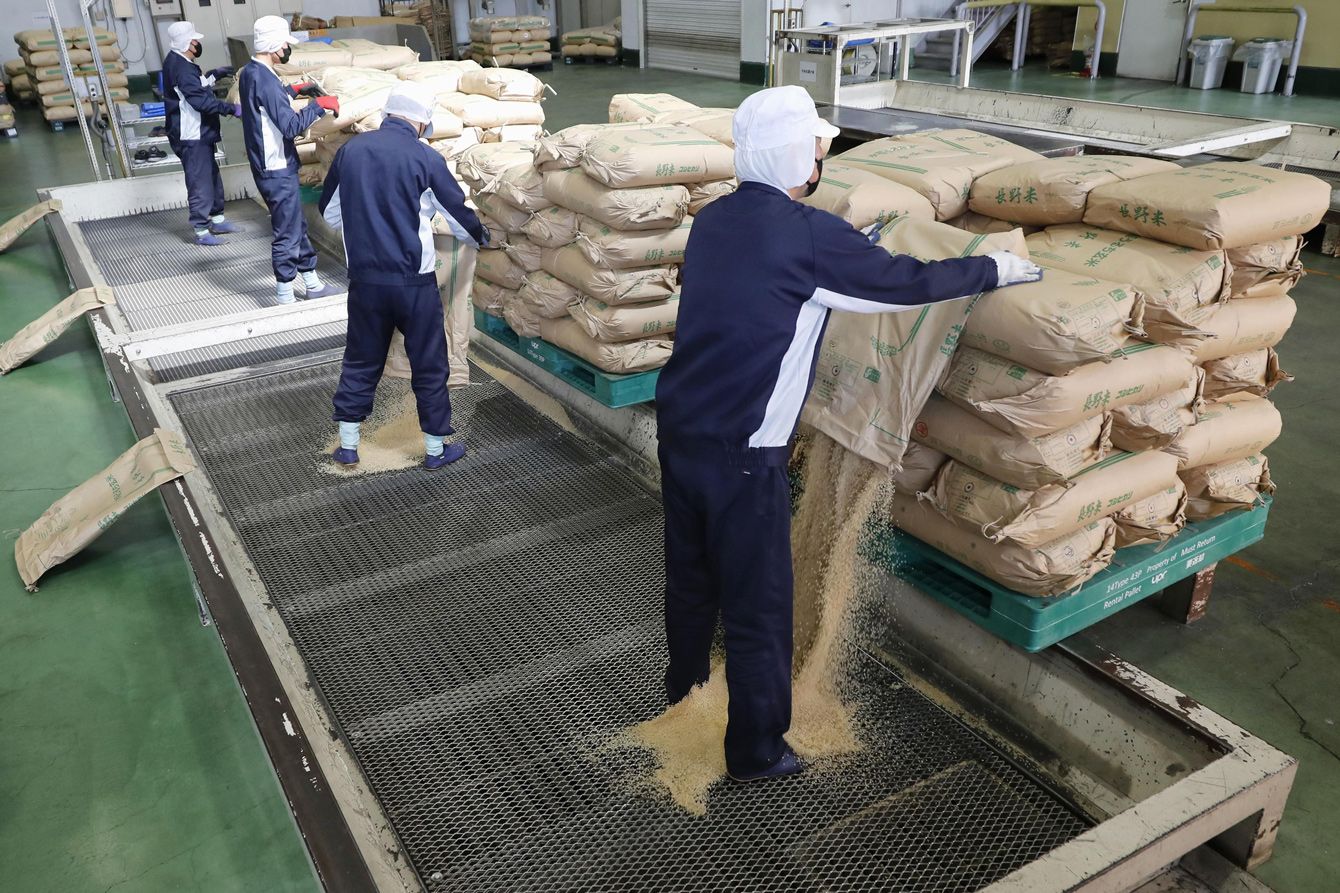 日本新米上市，價格比去年大幅下跌