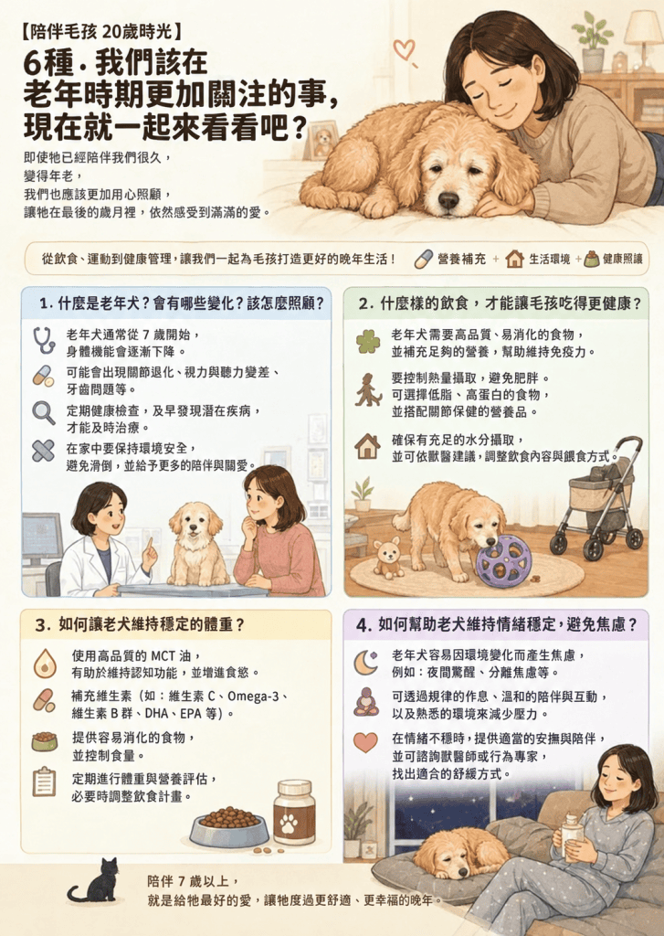 狗狗失智照護示意圖